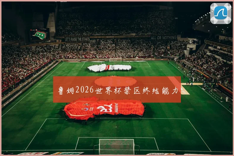 鲁姆2026世界杯禁区终结能力