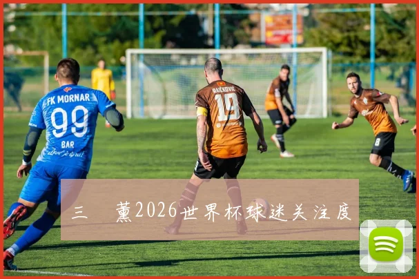 三笘薰2026世界杯球迷关注度