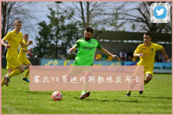 蒙扎vs乌迪内斯教练发布会
